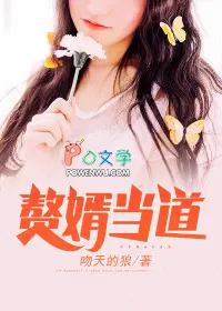入赘婿是什么意思