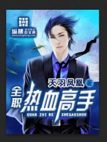 全职高高手