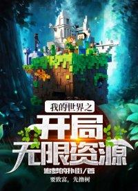 我的世界之开局无限资源飞卢