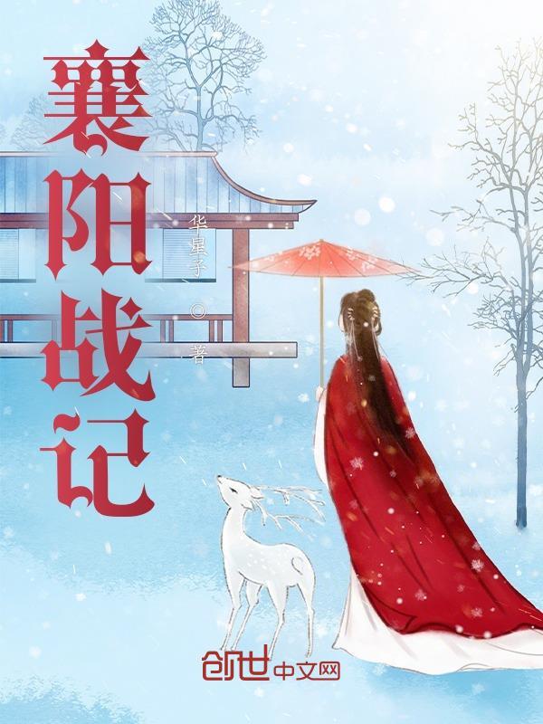 襄阳战记后续