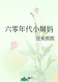 六零年代小舅妈原文阅读