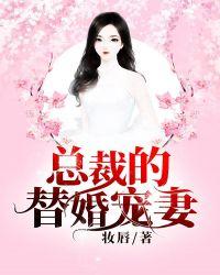 总裁的替嫁妻