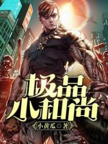 极品小僧医