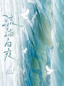 流淌白夜TXT