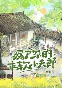 屠户家的乖软小夫郎百度