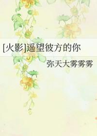 遥望beyond歌词意思
