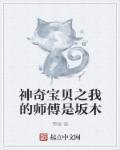 神奇宝贝之我的师傅是坂木