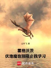 玩具np h