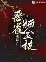 变心的翅膀