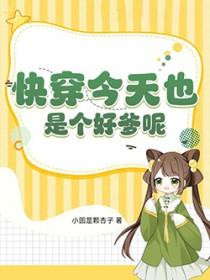 网王立海主攻