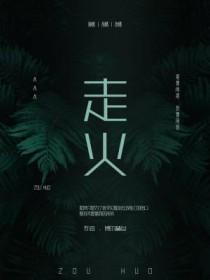 五维赖氨酸颗粒