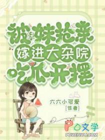 锦衣玉令赵胤身世