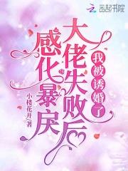 掌心完整版