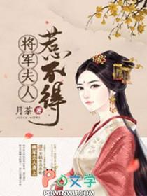 综英美大蝙蝠和布鲁斯cp了吗