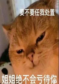 快穿宿主崩坏中