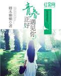 黑莲花攻略手册动漫免费观看完整版