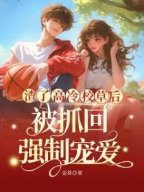 双开马甲演绎剧本茶云陵湖
