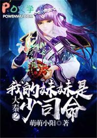 大魏风华txt