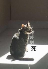一亿孤行精校版TXT