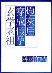 大明寒门辅臣有几个女主