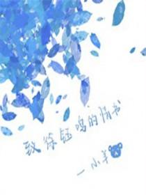 炮灰只想养花种田宁雁奴笔趣阁
