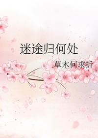 撩校花