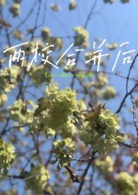明末求生记全文阅读