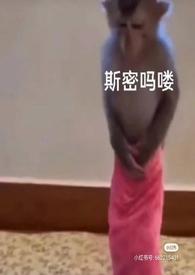 入赘炮灰哥儿后云柳