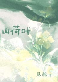 今岁无忧TXT
