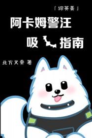 王小军的人生 txt