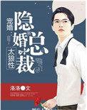 宝可梦之从火箭队开始